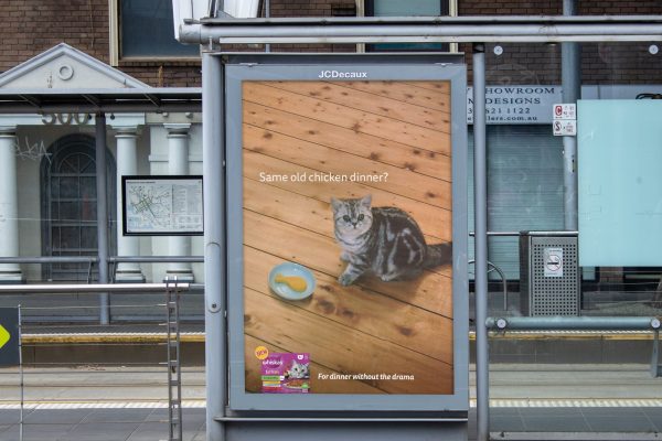 Whiskas – Same Old